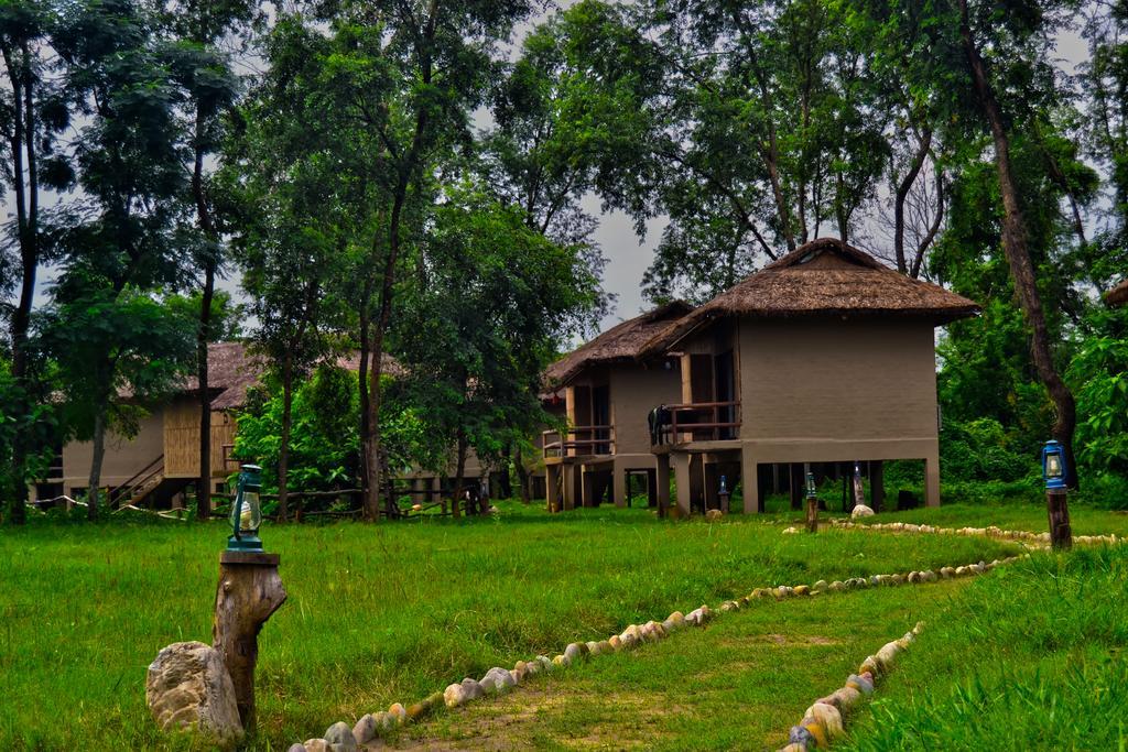 Temple Tiger Green Jungle Resort Kawasoti Εξωτερικό φωτογραφία