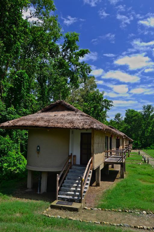Temple Tiger Green Jungle Resort Kawasoti Δωμάτιο φωτογραφία